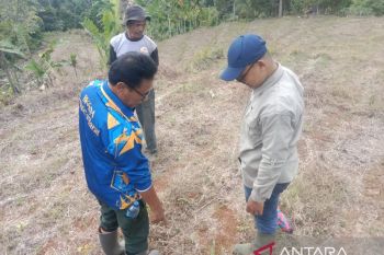 BKSDA Sumbar turunkan petugas usai anak kerbau warga digigit harimau (Video)