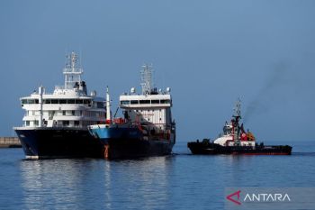 Risiko hantavirus di Eropa masih rendah