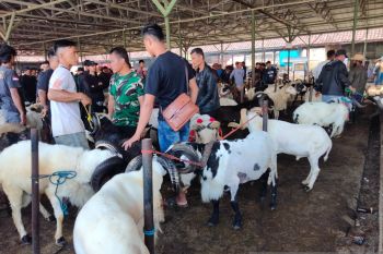 Sumedang desentralisasi layanan untuk perkuat kesehatan ternak
