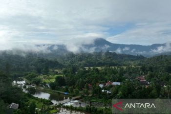 KKI Warsi: Provinsi Jambi berpeluang jadi contoh pelaksanaan perdagangan karbon