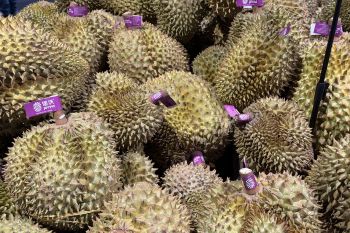 Selera konsumen China ubah lanskap perkebunan durian di Asia Tenggara