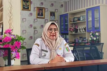 Produksi telur Ayam Merah Putih di Lampung capai 30 ribu butir per hari