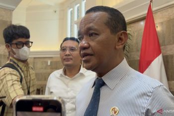 Philippines electricity grid to join Trans Borneo network: Minister