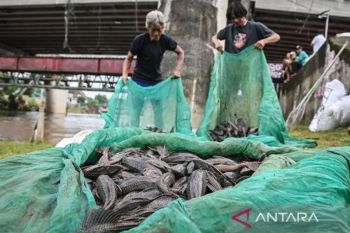 Pemkot Jaktim sebut ikan sapu-sapu jadi tanda darurat sungai Jakarta