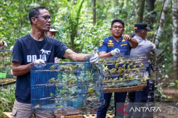 BKSDA NTT kembalikan 1.000 burung ke alam Manggarai Barat