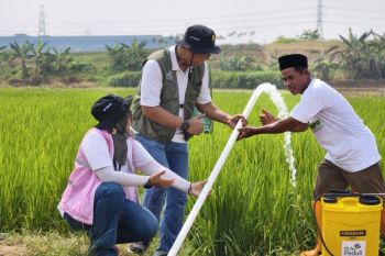 PLN dorong produktivitas petani Klaten melalui electrifying agriculture
