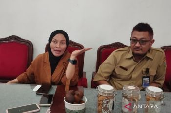 Pemkab Kudus gelar lomba desain batik khas Kudus untuk seragam identitas ASN