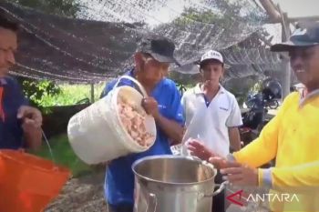 DKPP Ngawi perluas lahan pertanian ramah lingkungan berkelanjutan