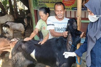 DKPP Kota Madiun berikan vaksin PMK hewan kurban jelang Idul Adha
