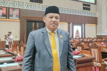 Legislator Kalteng minta pengawasan internal pemda diperkuat