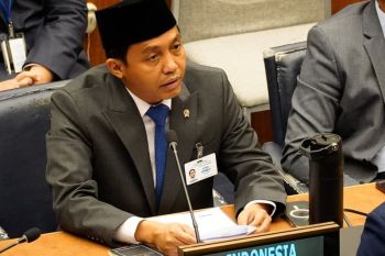 Indonesia urges global mangrove action at UN Forum on Forests
