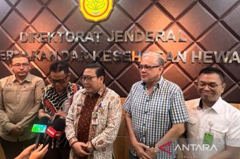 Kementan dan Bapanas stabilkan harga telur ayam yang turun di peternak