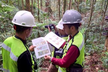 Kolaborasi Riset PT GKP Catat Temuan Spesies Baru di Pulau Wawonii