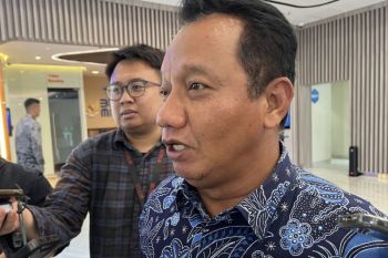 Badan Industri Mineral bahas pengembangan logam tanah jarang di Mamuju