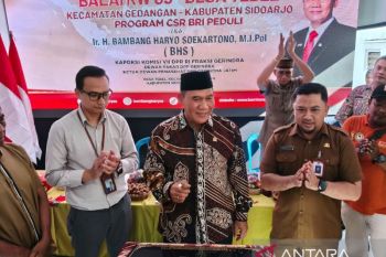 Anggota DPR RI apresiasi program CSR BRI