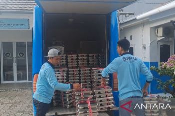 Program MBG di Pangkalpinang serap 1.000 tenaga kerja