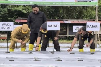 Kejari Simeulue manfaatkan lahan kosong untuk program ketahanan pangan
