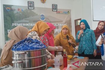 Pemkot Pangkalpinang latih IRT olah pangan lokal