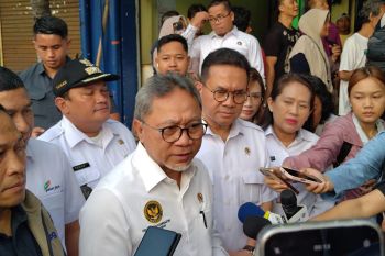 Menko Pangan: Pemerintah siap subsidi jika pangan impor lampaui HET