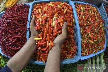 PIHPS: Harga cabai rawit Rp74.150/kg, telur ayam Rp41.850/kg