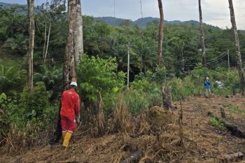 PLN gelar GROWS di Desa Semade dan Tunang perkuat keandalan jaringan listrik di Mempawah