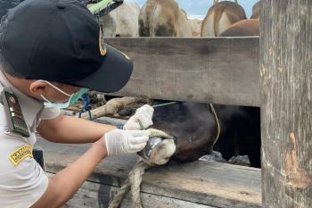 Kementan ungkap korupsi proyek fiktif senilai Rp27 M
