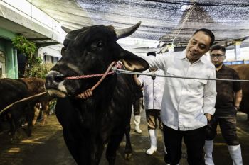 Hewan kurban tak sehat bisa ditolak masuk Surabaya