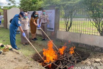 Balai Karantina Papua Tengah perketat pengawasan hewan cegah PMK