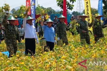 TNI dukung peningkatan produksi pangan nasional termasuk kedelai