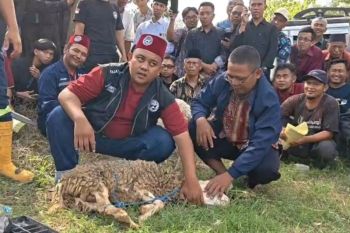 Kemenag Ponorogo tambah juru sembelih halal jelang Idul Adha