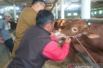 Sumedang siapkan layanan cepat tanggap antisipasi penyakit hewan kurban