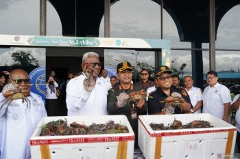 Pelaku UMKM Mimika  ekspor perdana karaka ke Malaysia