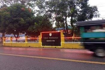 Pemkab Tapin pantau kemunculan ikan sapu-sapu di sungai