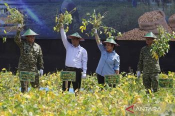 Panen kedelai ketahanan pangan di Nganjuk sebagai upaya menuju swasembada nasional