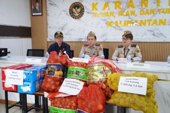 Karantina Kalbar gagalkan peredaran 42 ton pangan ilegal