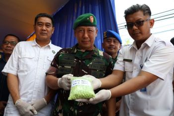 BNNP Kalbar musnahkan 1.653 butir Ekstasi jaringan perbatasan