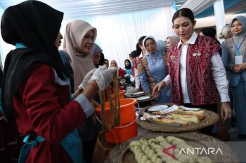 Kunjungan Ketua Dekranas di Dekranasda Kalbar