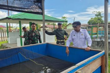 BGN bersama Yonif 804 DBAY perkuat hilirisasi pangan di Nabire