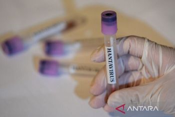 Legislator DKI minta edukasi dan mitigasi hantavirus diperkuat