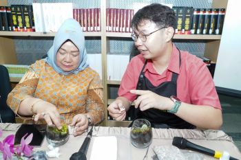 Perpustakaan MPR RI dorong kreativitas pegawai lewat seni terrarium