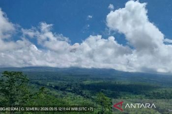 Gunung Semeru erupsi disertai awan panas guguran
