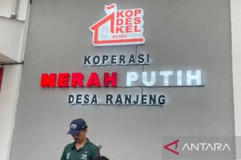 Pemkab Serang catat 55 Kopdes Merah Putih aktif beroperasi