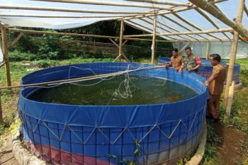 Kodim Rejang Lebong kembangkan budidaya ikan nila kolam bioflok