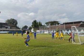 Wabup: Panggungharjo Cup asah bakat sepak bola bagi generasi muda