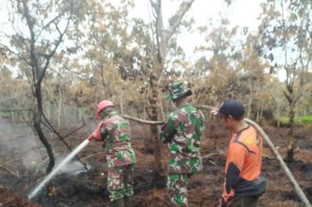 19 kecamatan di Kabupaten Muara Enim dipetakan rawan karhutla
