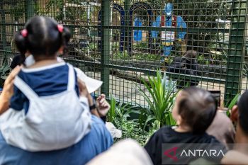 Libur panjang, 120.000 orang diprediksi kunjungi Ragunan