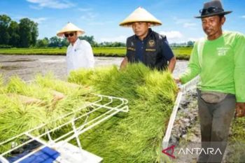 Pemkab Bangkalan tingkatkan produksi pertanian melalui modernisasi alat