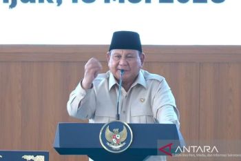 "Taksi" Plat Hitam Beroperasi di Hang Nadim