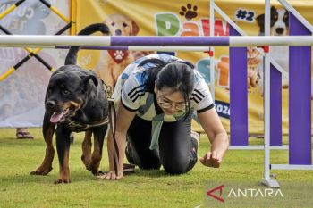 Tak sekadar lomba, PawFest Bandung Barat hadirkan program adopsi hingga edukasi kesehatan hewan
