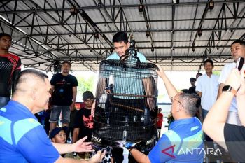 Kontes burung berkicau, Bobby dukung penyelenggaraan berskala nasional